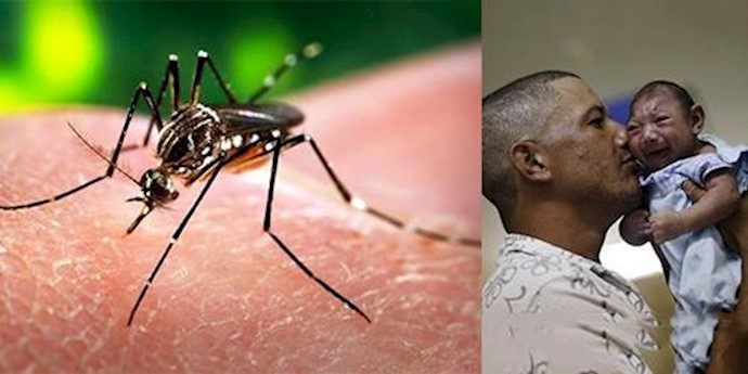 Zika virus: Doctors say Risks greater than first assumed