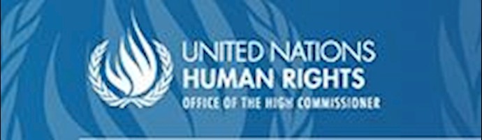 UN High Commissioner for Human Rights is appalled at Ms. Mohammadi’s sentence