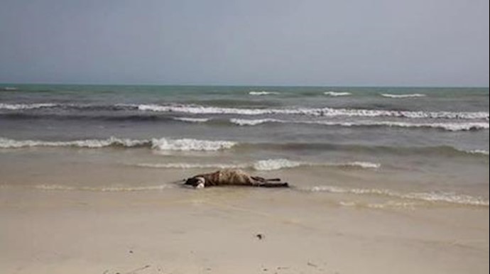 At least 117 bodies found off Libya as smuggling boat sinks