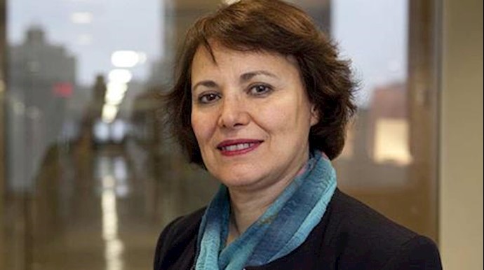 Amnesty: Iran regime urged to release Canadian-Iranian professor