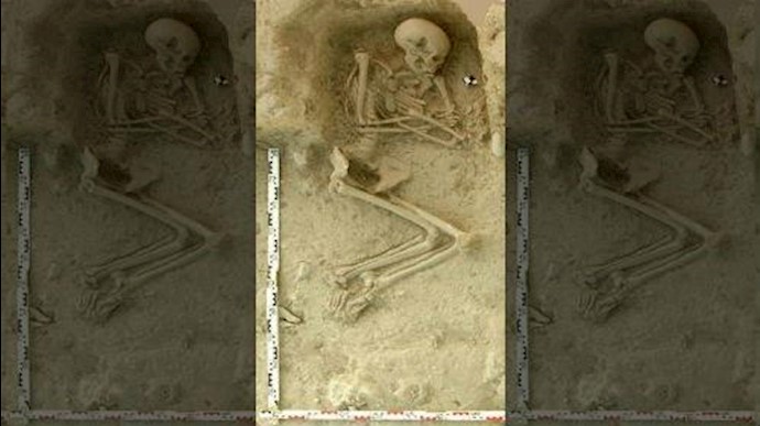 Stone Age Aegean Sea migrants brought agriculture to Europe 8,000 years ago