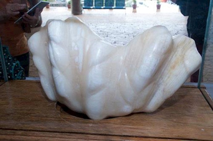 Filipino Fisherman Reveals 75-Pound Pearl He Kept Hidden For A Decade