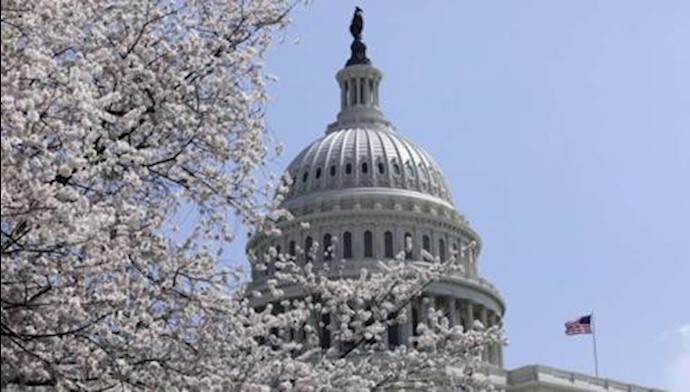  'Cherry trees are in full bloom in front of the U.S. Capitol in Washington April 10, 2013.'