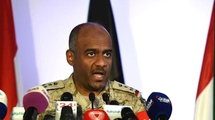 Assiri: Tens of Houthi militias killed in border attacks daily