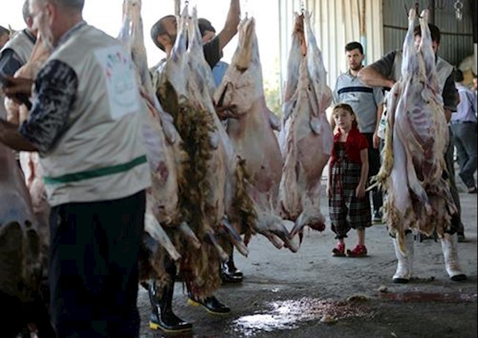 UN’s Ban presses for Syria aid as truce holds