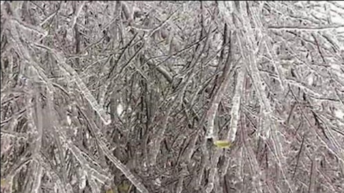 Ice storm pelts central U.S., upper Midwest