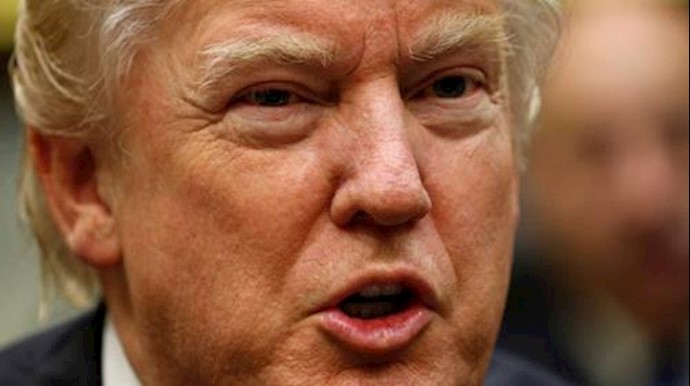 Trump and Sisi discussed fighting terrorism in phone call: statement