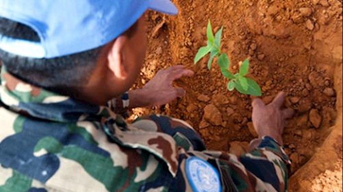 Protect environment from wars and conflicts, UN urges on International Day