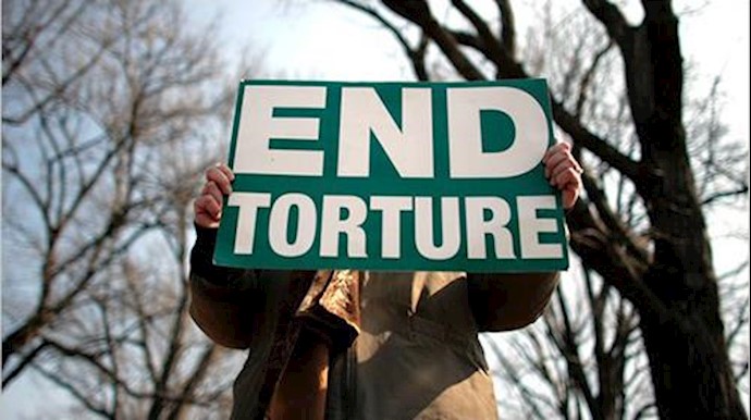  'UN Committee against Torture'
