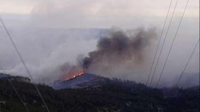 2,500-acre wildfire shuts down Custer State Park in South Dakota