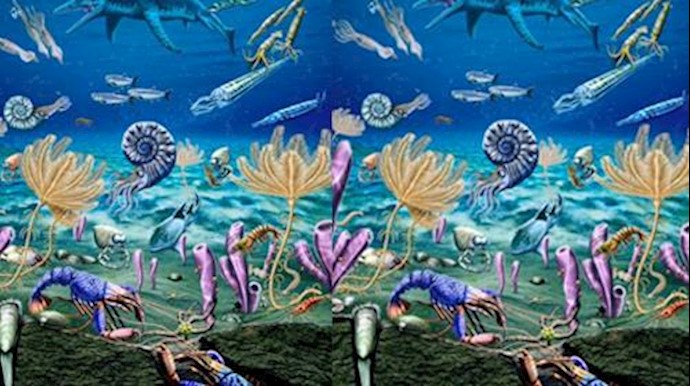 Fossils show quick rebound of life after ancient mass extinction