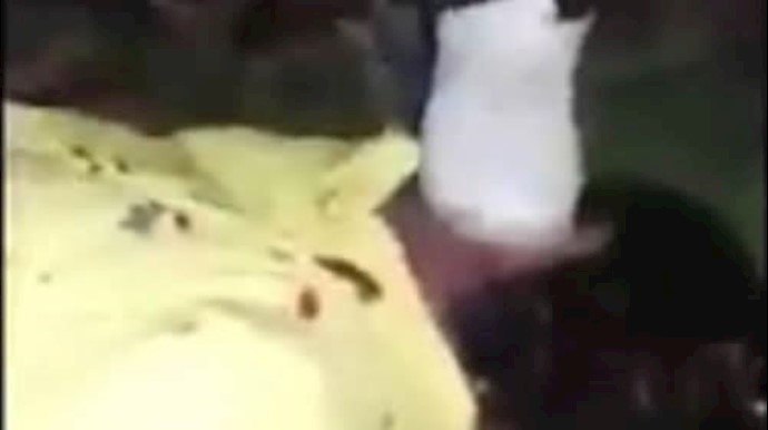 Iran: A Baha’I youth killed by the para-military Basij agent+Video