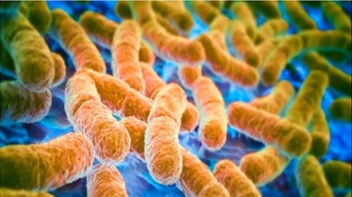 Video: India’s battle against ‘superbugs’