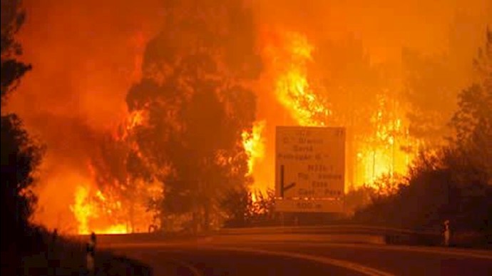 Huge Portugal forest fires kill 43, injure scores