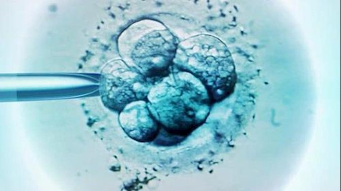 First editing of human embryos carried out in United States