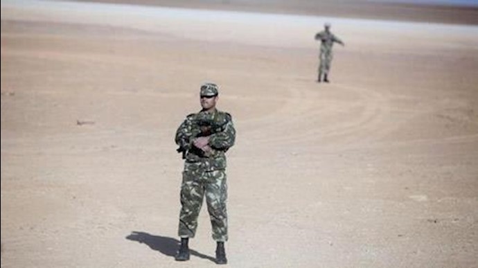 Algerian army kills six armed militants: defense ministry