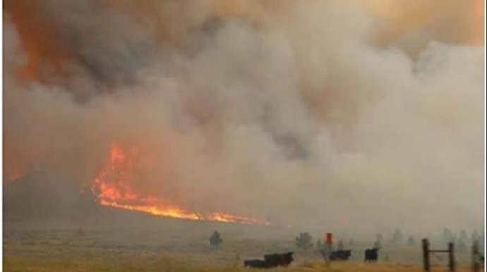 Fire crews battle to halt spread of Montana blaze, largest in the U.S.