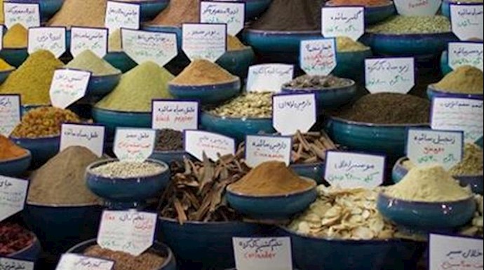 Iran: Due to Economic Problems, some Medicinal Herbs Sellers Turned to Drug Production