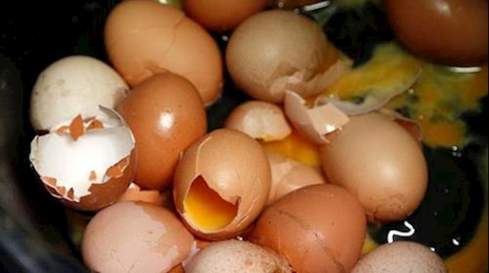 Austria finds some egg products contaminated with insecticide