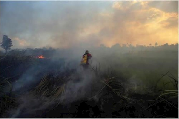 Indonesian military officer orders that forest burners be shot