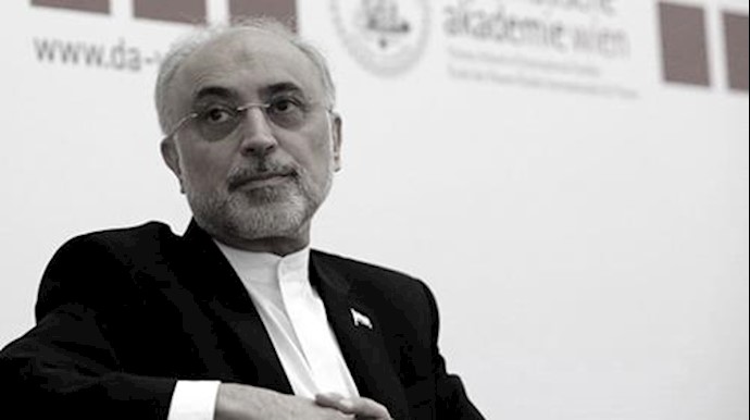  'Head of the Iranian Atomic Energy Organization Ali Akbar Salehi'