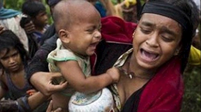 Government will take over burned Myanmar land: minister