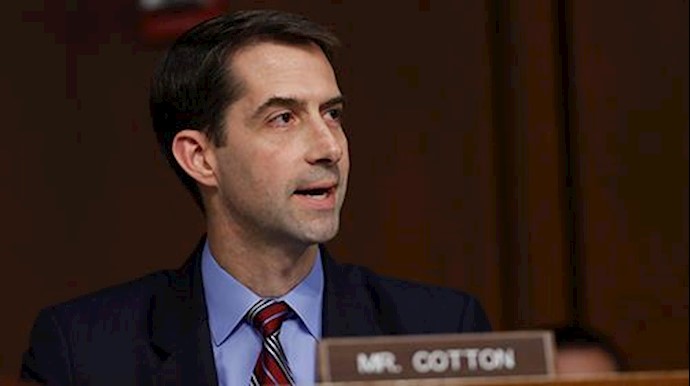 Cotton: Trump ‘Should Certainly’ Impose New Sanctions on Iran for Treatment of Protesters
