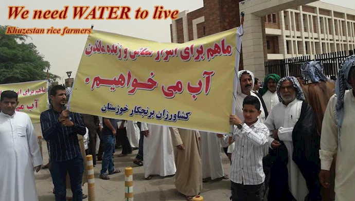  'Khuzestan rice farmers say they need water to live'